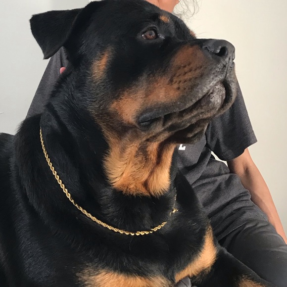 Meet your Posher, Julia - Picture 1 of 1